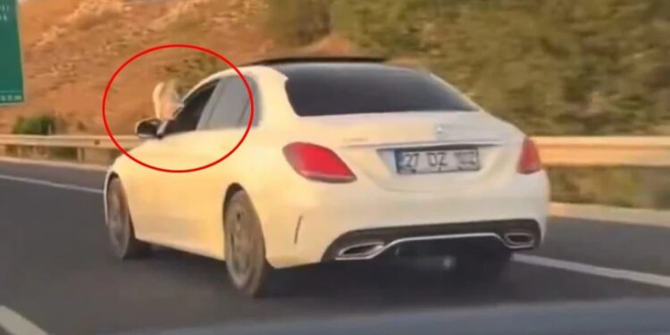 Ayakları dışarıda araç kullanan kişi, başsavcının oğlu çıktı