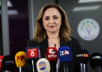 Ayşegül Doğan: Muhalefet de iktidar da sürece sorumlulukla yaklaşmalı