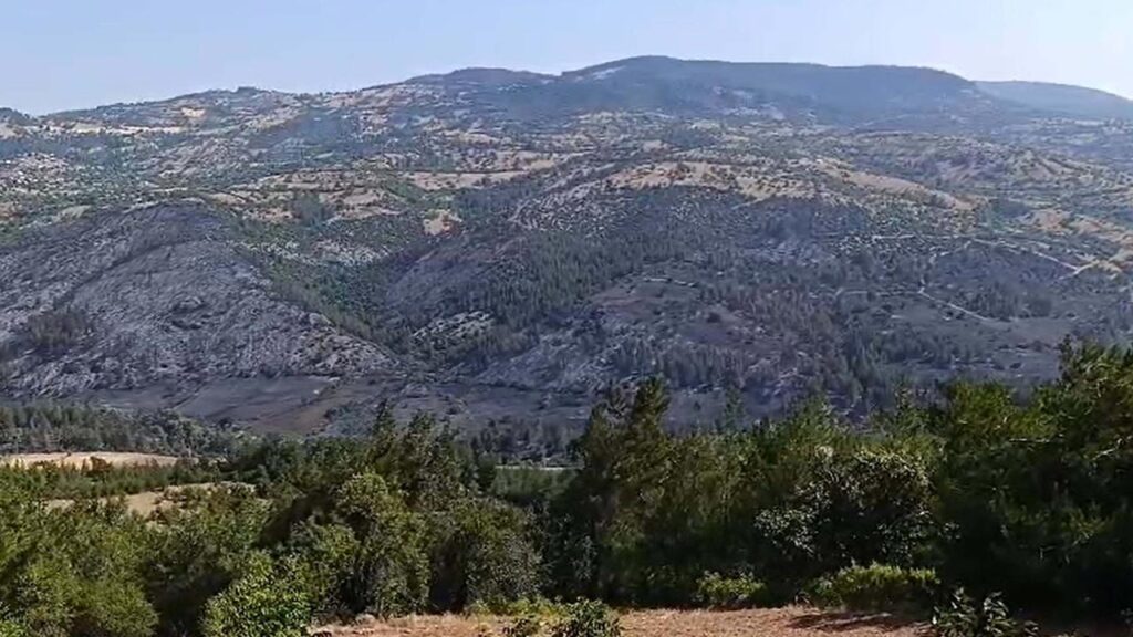 Balıkesir-Bursa Sınırındaki Orman Yangını İkinci Gününde