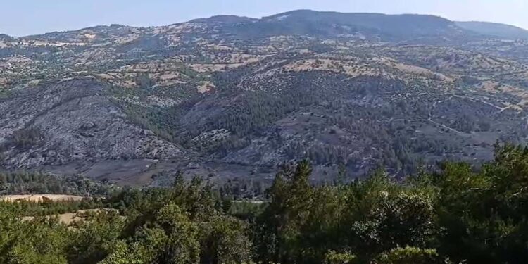 Balıkesir-Bursa Sınırındaki Orman Yangını İkinci Gününde