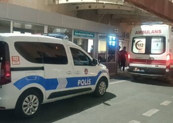 Batman'da Aile Faciası! Annesi Bıçaklayan Kardeşini öldürdü