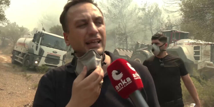 Bornova ve Buca’da orman yangını