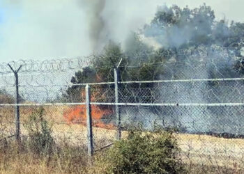 Bulgaristan’daki orman yangını, Türkiye sınırına ulaştı!