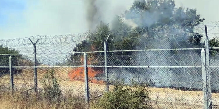 Bulgaristan’daki orman yangını, Türkiye sınırına ulaştı!