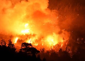 Bursa-Balıkesir sınırında çıkan orman yangınına ilişkin 2 gözaltı!