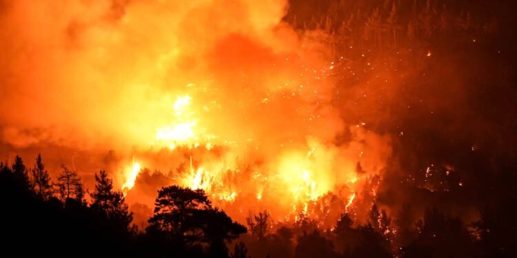 Bursa-Balıkesir sınırında çıkan orman yangınına ilişkin 2 gözaltı!