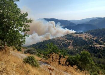 Bursa ile Balıkesir Arasında Orman Yangını