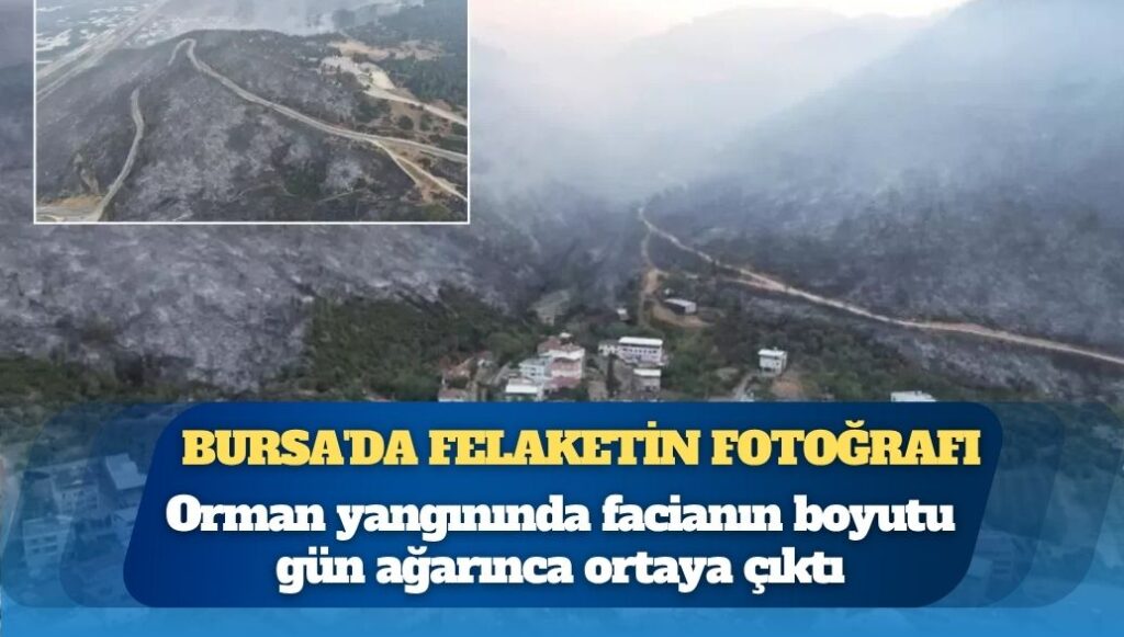 Bursa’da felaketin fotoğrafı: Alevler tam evlerin dibine böyle sokulmuş