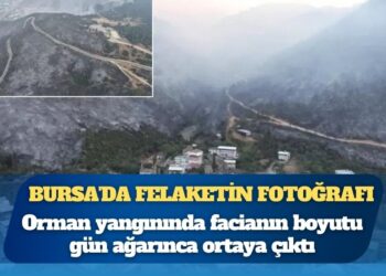 Bursa’da felaketin fotoğrafı: Alevler tam evlerin dibine böyle sokulmuş