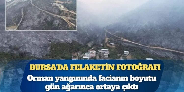 Bursa’da felaketin fotoğrafı: Alevler tam evlerin dibine böyle sokulmuş