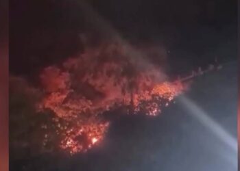 Bursa'da havai fişeğin neden olduğu orman yangınına ilişkin 4 kişi gözaltına alındı