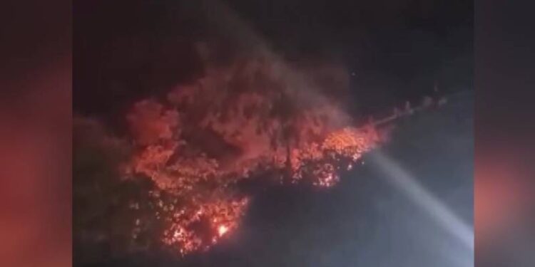 Bursa'da havai fişeğin neden olduğu orman yangınına ilişkin 4 kişi gözaltına alındı