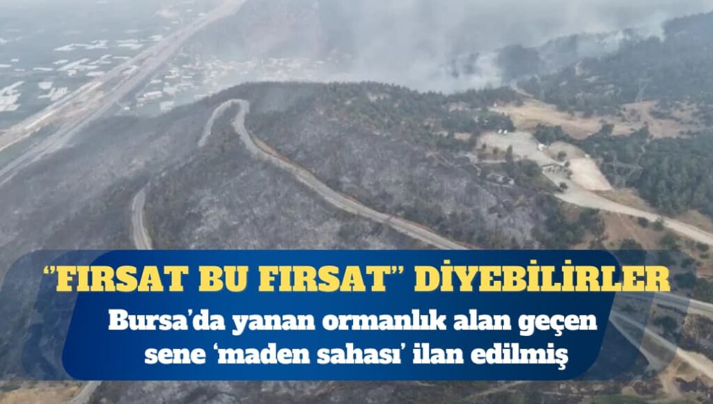 Bursa’da yanan ormanlık alan 2024’te ‘maden sahası’ ilan edilmiş