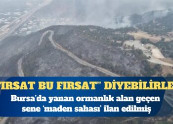 Bursa’da yanan ormanlık alan 2024’te ‘maden sahası’ ilan edilmiş
