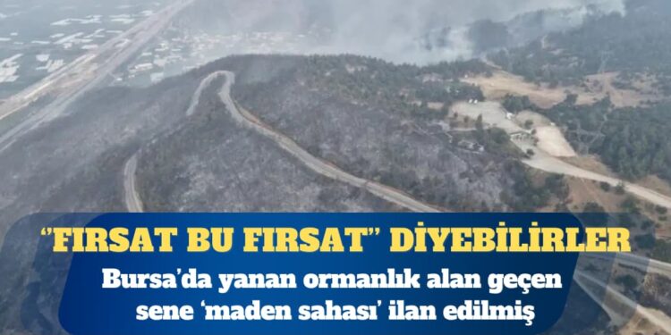 Bursa’da yanan ormanlık alan 2024’te ‘maden sahası’ ilan edilmiş