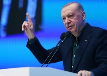 Cumhurbaşkanı Erdoğan Neyi Vurgulamak İstedi? İktidara Yakın Yazar Yazdı, İşte Konuşmanın Şifreleri...