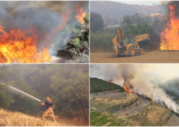 DEM Parti’den orman yangınları için Meclis araştırması talebi
