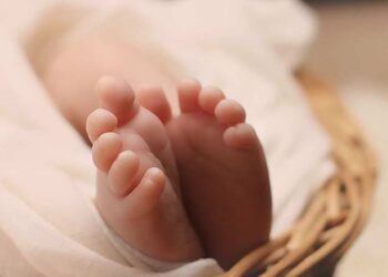 Doğurganlık Oranının Düşmesi Küresel Krize Dönüşüyor