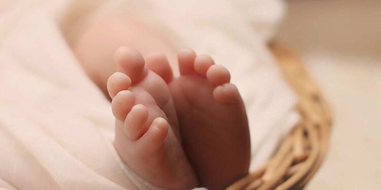 Doğurganlık Oranının Düşmesi Küresel Krize Dönüşüyor