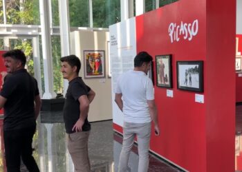 Dünyaca Ünlü Ressam Picasso Van'da!