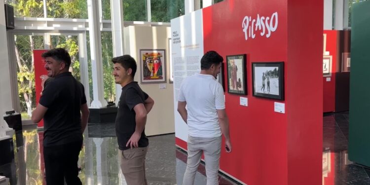 Dünyaca Ünlü Ressam Picasso Van'da!