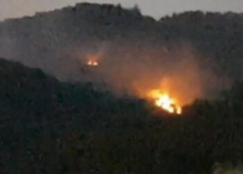 Edremit’te Zeytinlik Yangını