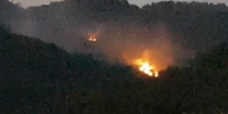 Edremit’te Zeytinlik Yangını