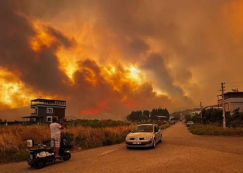 Elektrik hatlarından çıktığına dair bulgu yok