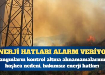 Enerji hatları alarm veriyor? Yangınların kontrol altına alınamamalarının başlıca nedeni, bakımsız enerji hatları