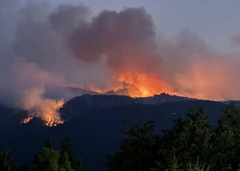 Eskişehir'de orman yangınına müdahale eden 5 orman işçisi ve 5 AKUT gönüllüsü 10 kişi hayatını kaybetti; soruşturma başlatıldı!