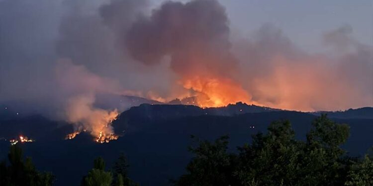 Eskişehir'de orman yangınına müdahale eden 5 orman işçisi ve 5 AKUT gönüllüsü 10 kişi hayatını kaybetti; soruşturma başlatıldı!
