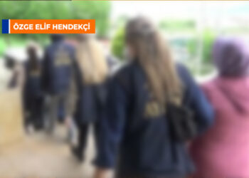 Özge Elif Hendekçi