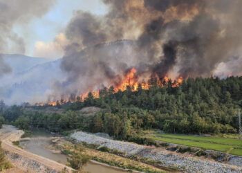 Gölgesinde dinlenebileceğimiz tek bir ağaç kalmadığında mı müdahale başlatılacak?