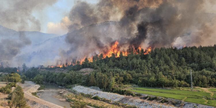 Gölgesinde dinlenebileceğimiz tek bir ağaç kalmadığında mı müdahale başlatılacak?