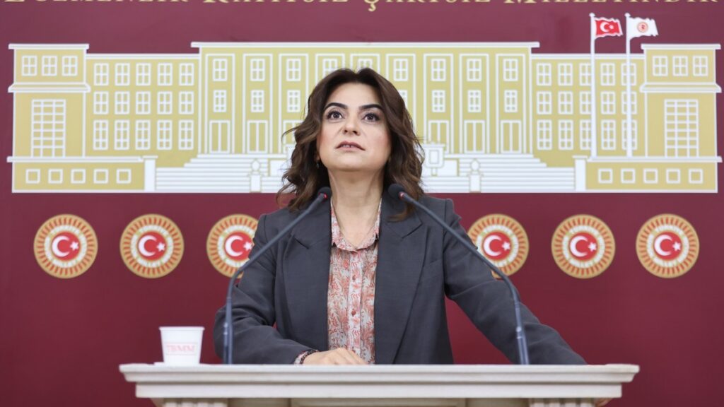 Gülistan Kılıç Koçyiğit: Yangınların sorumlusu AKP’dir