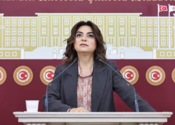 Gülistan Kılıç Koçyiğit: Yangınların sorumlusu AKP’dir