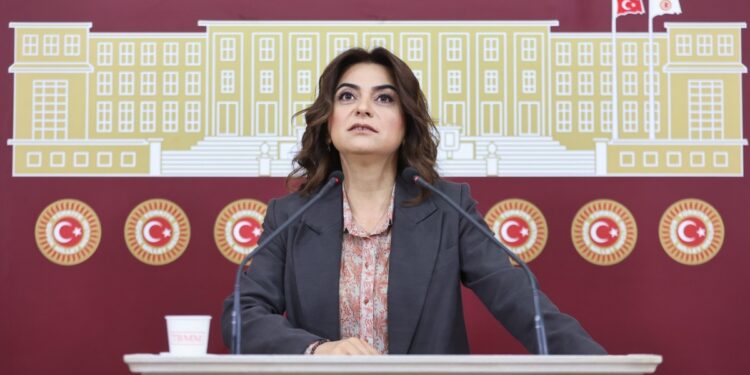 Gülistan Kılıç Koçyiğit: Yangınların sorumlusu AKP’dir