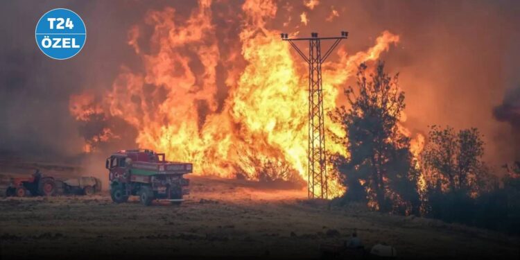 Hayatını kaybeden işçi balayından çağrılmış, dozere yol açmak için dönmüş