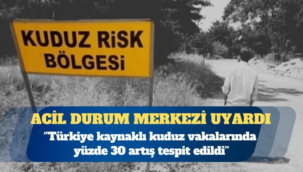 Hollanda acil durum müdahale merkezi Eurocross: Türkiye kaynaklı kuduz şikayetleri yüzde 30 arttı