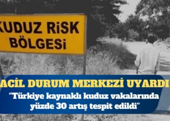 Hollanda acil durum müdahale merkezi Eurocross: Türkiye kaynaklı kuduz şikayetleri yüzde 30 arttı