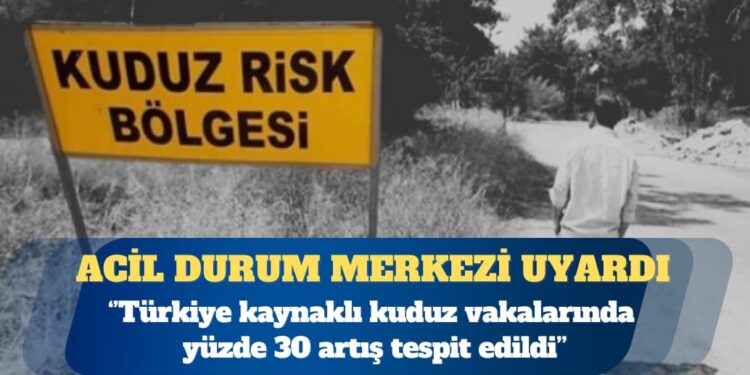 Hollanda acil durum müdahale merkezi Eurocross: Türkiye kaynaklı kuduz şikayetleri yüzde 30 arttı