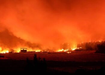 İddialarla yangınların hiçbir ilgisi yok, yangını siyasi malzeme haline getirmek tehlikeli bir dezenformasyon