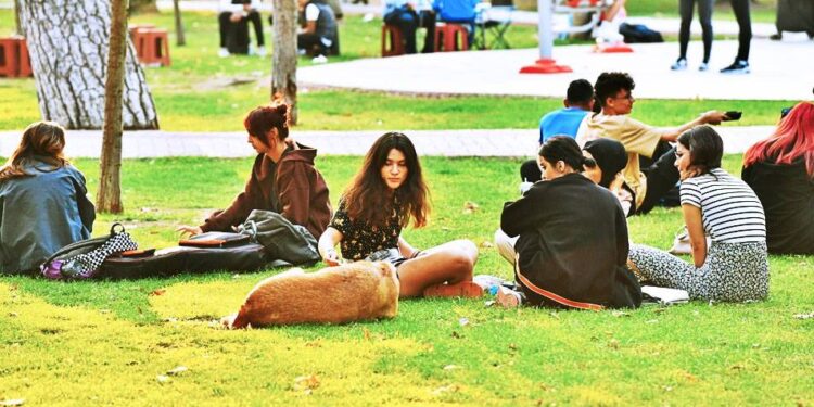 İktidar "sağlık merkezi yapacağız" diyerek şehirlerdeki parkları inşaata açtı