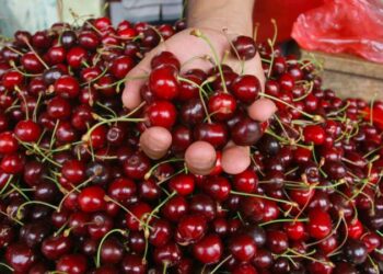 İstanbul'da haziran ayının zam şampiyonu kiraz oldu