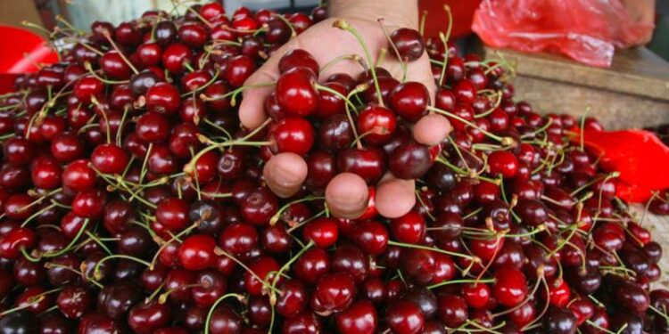 İstanbul'da haziran ayının zam şampiyonu kiraz oldu