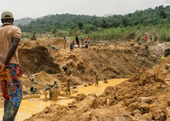 Kaçakçılar Hükümeti Canından Bezdirdi: İhbar Edene Dev Ödül