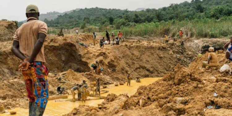 Kaçakçılar Hükümeti Canından Bezdirdi: İhbar Edene Dev Ödül