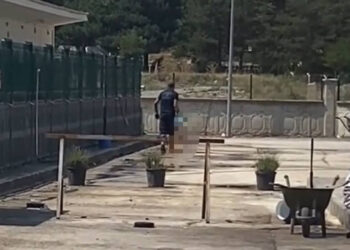 Kastamonu'da Belediye Barınağında Katliam! Tepki Gösteren Hayvanseverlere Saldırdılar