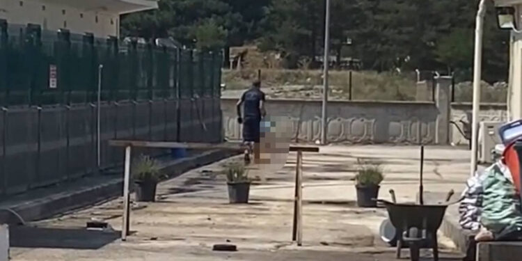 Kastamonu'da Belediye Barınağında Katliam! Tepki Gösteren Hayvanseverlere Saldırdılar