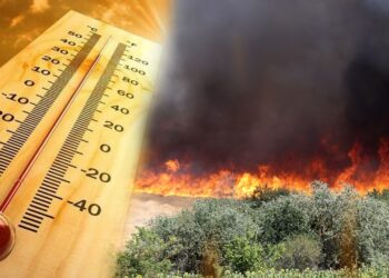 Kavurucu Sıcaklar Kapıda, Termometreler Fırlayacak! Bakan Kurum'dan Yangın Riskine Karşı Kritik Uyarı